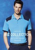 Biz Collection 2017 cover